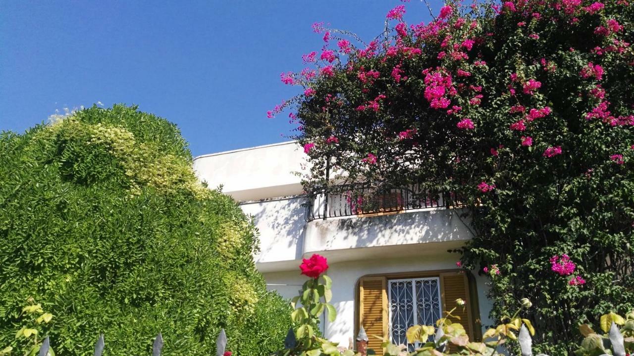 Villa Mary Trani Exteriör bild